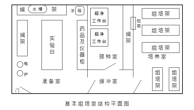 组培室如何布局规划及关键点